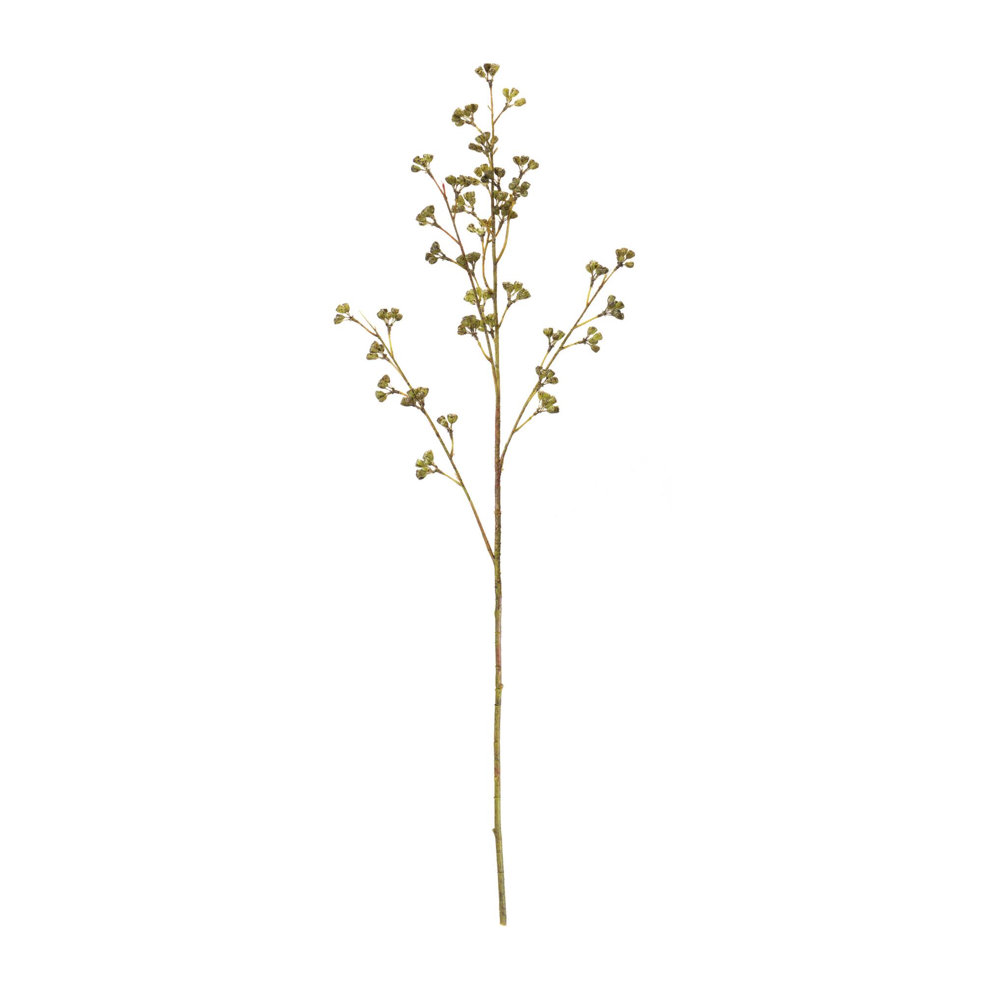 31" Green Winter Berry Pod Sprays, 6ct.